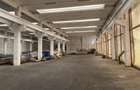 Vanzare depozit/hala/spatiu industrial Berceni - Oltenitei - 9