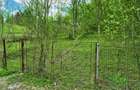 TEREN INTRAVILAN  | BREAZA | PROVITA DE JOS | VALEA PRAHOVEI | - 1