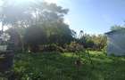 Jilava-Tineretului-Casa solida-1000mp Teren-260mp -159.900 EUR - 15