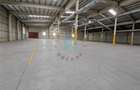 Hala de vanzare, productie, depozitare, desfacere, show-room - 1