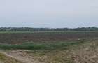 Teren de vanzare Lazu zona Logistic Park - 6