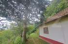 Casă de vânzare – Colonia 1 Mai 65.000 EURO - 1