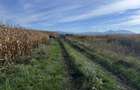 Teren de vanzare in Harman 4,4 Hectare - 6