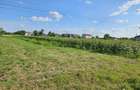 Vând teren intravilan situat în Moara Vlăsiei, Strada Berzei, cu suprafața de 10 - 8