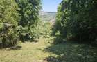 Teren , strada M. Sadoveanu, 7 ari. - 4