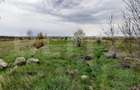 Teren intravilan 4672 mp , stradal DN6, zona sere Isalnita! - 2