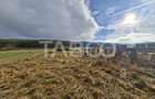Teren intravilan de vanzare in Rasinari zona Calinis - 890 mp