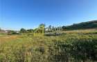 Teren Magura str. Intre Vii Islazului 550 mp - 3