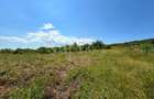Teren intravilan pentru constructii de vanzare in Chinteni - 1