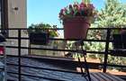 Apartament 3 camere cu curte comuna Brancoveanu - 13