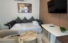 APARTAMENT 2 CAMERE INCHIRIAT  PARCUL CAROL - TINERETULUI - 5