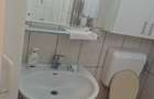 Casa Domenii Herăstrău, 4 camere, 2 băi, curte proprie. - 15