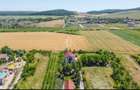 Vila/Proprietate Speciala, 500mp utili, 3300mp teren, Sangeorgiu de Ms - 21