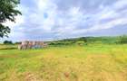 Teren intravilan 717 mp – Sura Mare, Sibiu - 1