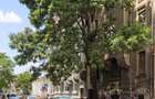 APARTAMENT 4 CAMERE ULTRACENTRAL - 21