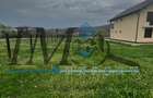 Teren intravilan de vânzare la ieșire din Petresti - 1