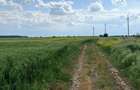 💎 15-50 ha, parcelat, Mihailesti Giurgiu - 4