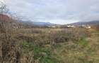 TEREN INTRAVILAN 10.700 mp  DE VANZARE  IN TG.OCNA - 1