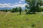 Teren intravilan 5000 mp pe Valea Avrigului, Sibiu - 4