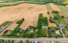 Casă gospodareasca cu teren generos 1,1 Ha in Silistea, Com. Todiresti - 5