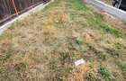 Teren intravilan 446 mp | Teren plan | Utilitati in zona | Negociabil