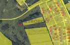 Teren 5.000 mp pe Calea Cisnadiei - 5