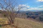 Refugiu de poveste în inima naturii | 12.000 mp în Holbav | Proiect început - 2