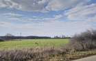 Teren de vanzare in Silistea Snagovului - 13.800 mp. - 1