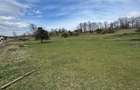 Teren intravilan 1.17ha cu panoramă superbă și PUZ aprobat – Baia Sprie - 4