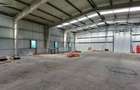 Magurele,hala 1000 mp,constructie noua ,ideal depozitare,productie - 14