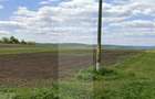Teren extravilan de vanzare, 11400 mp, zona Hiliseu-Horia