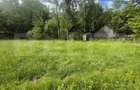 Cabana cu parau si brazi maturi, 1400mp, Valea Fericirii - 5
