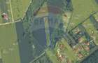 Teren 3000 mp în Snagov – zonă in dezvoltare, aproape de pădure - 10