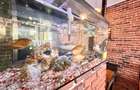 BUSINESS la CHEIE - RESTAURANT - PIZZERIE I DRISTOR I Since 2000 ! - 17