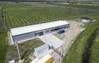 Platformă agro-industrială cu potențial de scalare - 21