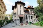 Vila reprezentativa - Dacia - 3