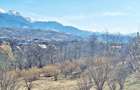 Comision 0%! Teren superb de 17000mp la 5 min de Castelul Bran, 13 eur - 2