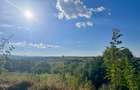 Vanzare teren intravilan  8,600 mp (direct de la proprietar, comision 0%),jud SV - 1