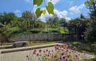 Casă de vânzare în exclusivitate, str. Română nr. 45, Sighisoara - 2