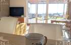 Penthouse superb cu terasa panoramica in supr. totala de 399 mp in Grigorescu - 10