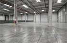 Spatiu Industrial - 6000 mp - Logistica - Productie - Depozitare - Distributie - 5