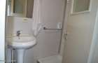 Nucsoara - Casa cu teren 600 mp - 16