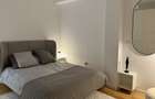 Apartament duplex 2 camere Vasile Lascar - 2