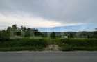 Teren intravilan, 4500 mp, zona Voinesti - 1
