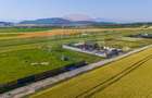 Teren intravilan cu CU-BOD- ZONA CISMASU- 1,020mp / Strada Iasomiei - 7