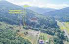 Teren extravilan, 4000 mp, Săcele - Babarunca - 2