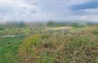 Teren intravilan pentru constructii si investitii de vanzare, Osorhei, Bihor - 2