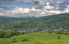 Vand Proprietate Premium 11,5 ha teren si constructii - 4