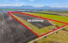 Teren 50.000 mp în Prejmer în spatele parcului industrial - 7