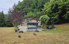 Căsuță de vacanță de vânzare – comuna Alexandru cel Bun, Neamț - 28